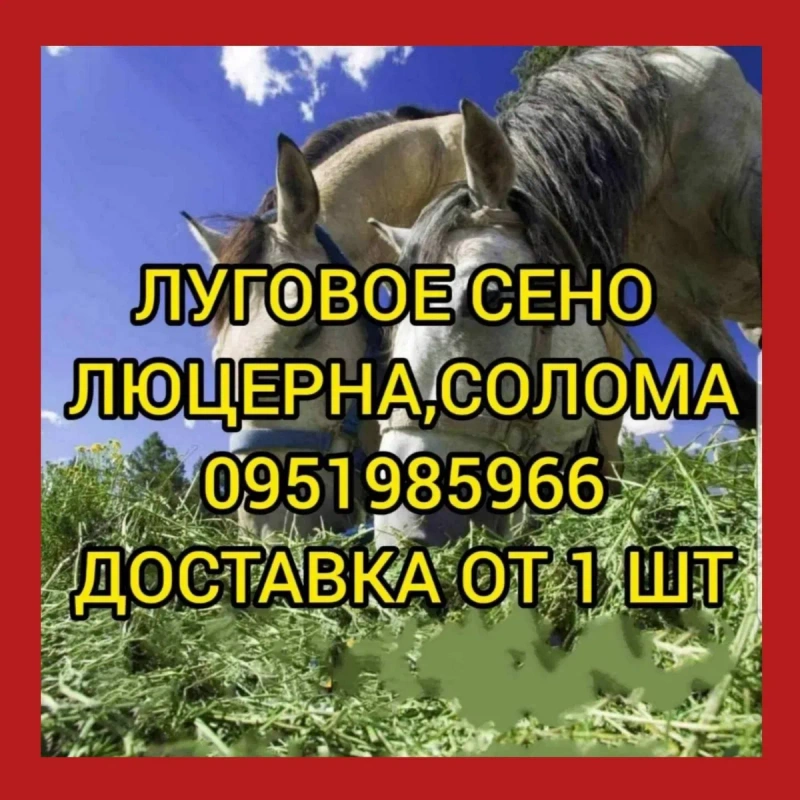 ‼️СЕНО  ДЛЯ ДЕКОРА ДЕКОР для корма, подстилки в тюках мешках дикорастущее сіно с доставкой‼️ — фото 2
