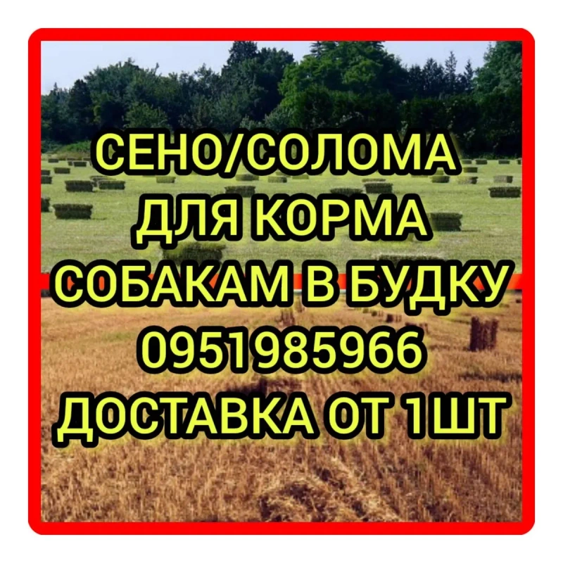 ‼️СЕНО  ДЛЯ ДЕКОРА ДЕКОР для корма, подстилки в тюках мешках дикорастущее сіно с доставкой‼️ — фото 4