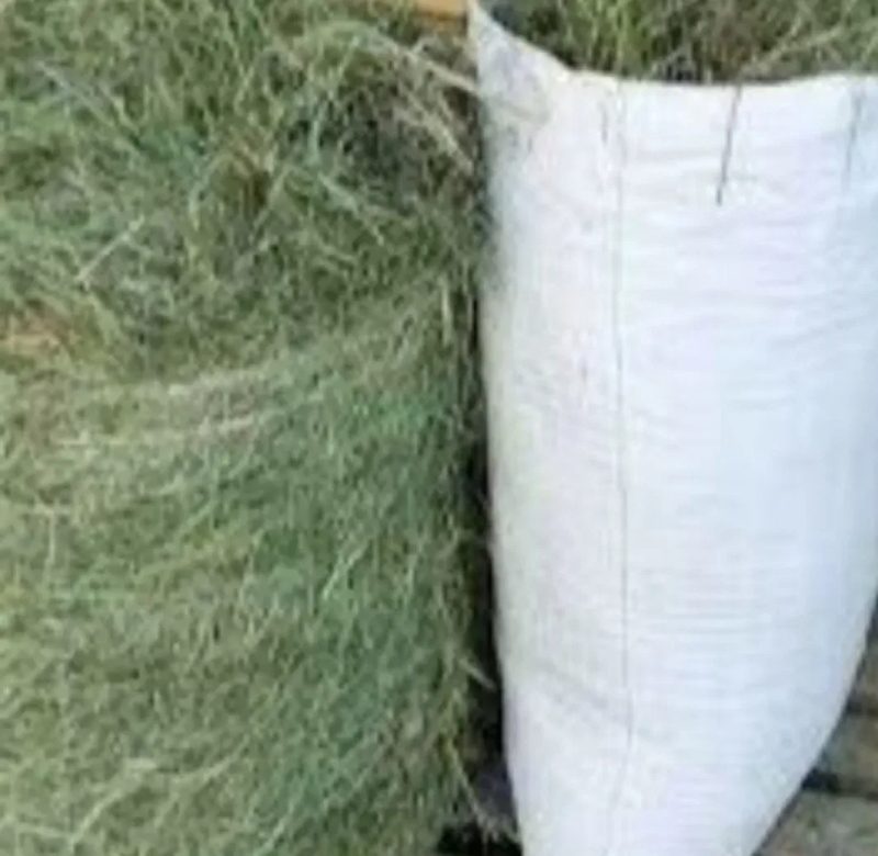 ‼️Сено  ДОСТАВКА от 1 шт сіно в тюках мешках (фацелии и др). Для КРС, лошадей, коз, овец‼️ — фото 4