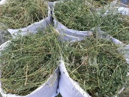 ‼️Сено С  ДОСТАВКОЙ от 1 шт (сіно) в тюках мешках (люцерны и др виды. Большие объёмы. Для лошадей, КРС, коз, овец. — фото 6