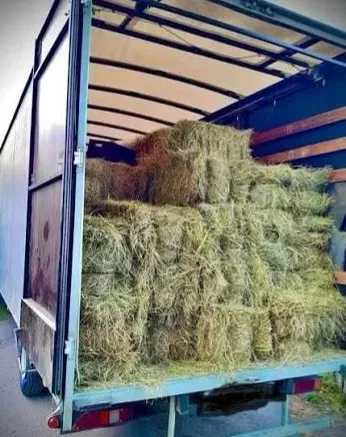 ‼️Сено С  ДОСТАВКОЙ от 1 шт (сіно) в тюках мешках (люцерны и др виды. Большие объёмы. Для лошадей, КРС, коз, овец. — фото 7