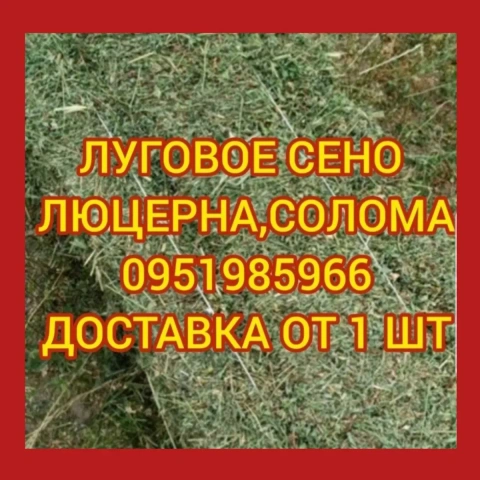 ‼️СЕНО С ДОСТАВКОЙ от 1 шт в тюках мешках, сіно горное. Большие объёмы‼️