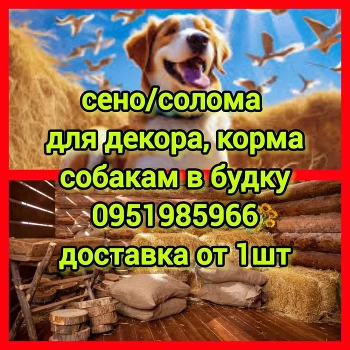 ‼️СЕНО С ДОСТАВКОЙ от 1 шт  в тюках мешках, сіно горное. Большие объёмы‼️ — фото 2
