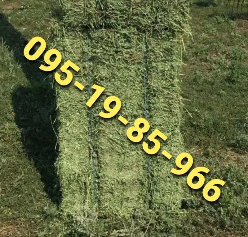 ‼️СЕНО С ДОСТАВКОЙ от 1 шт  в тюках мешках, сіно горное. Большие объёмы‼️ — фото 4