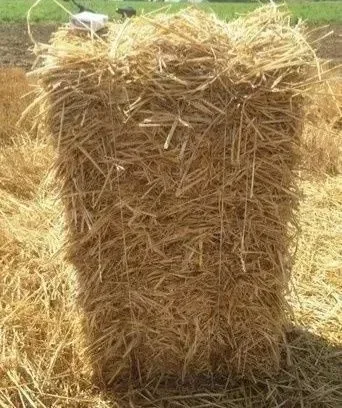 ‼️СЕНО С ДОСТАВКОЙ от 1 шт  в тюках мешках, сіно горное. Большие объёмы‼️ — фото 7