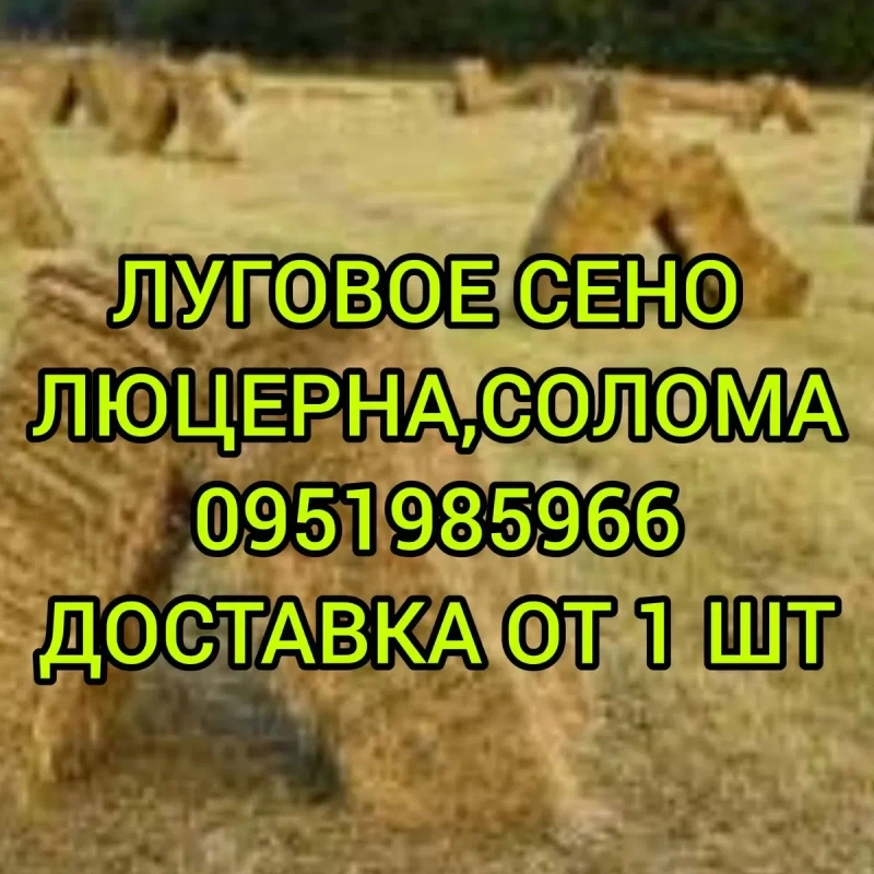 ‼️СІНО ДЕКОР КОРМ З ДОСТАВКОЮ від 1 штуки в тюках мішках, сено лісове. Для подстилки, мульчи. — фото 4