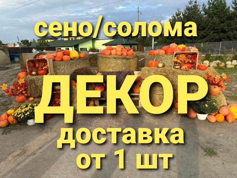‼️СОЛОМА ДЛЯ ДЕКОРА  С ДОСТАВКОЙ ОТ 1 ШТ в тюках мешках. Декор, подстилка, корм‼️ — фото 2