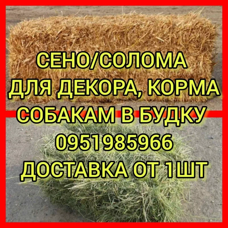 ‼️СОЛОМА ДЛЯ ДЕКОРА С ДОСТАВКОЙ от 1 шт в тюках мешках (клевер и др). Декор, корм, подстилка, мульча. — фото 2