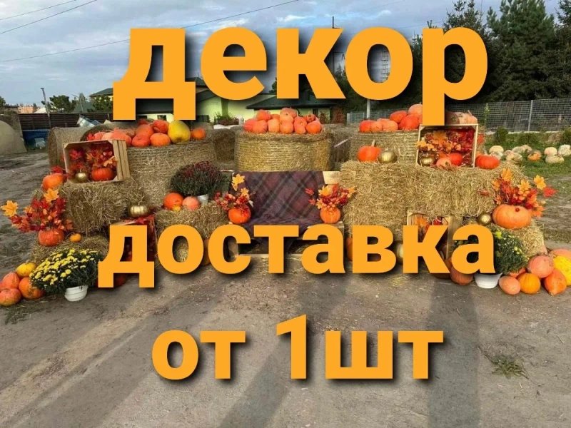 ‼️СОЛОМА ДЛЯ ДЕКОРА С ДОСТАВКОЙ от 1 шт в тюках мешках (клевер и др). Декор, корм, подстилка, мульча. — фото 3