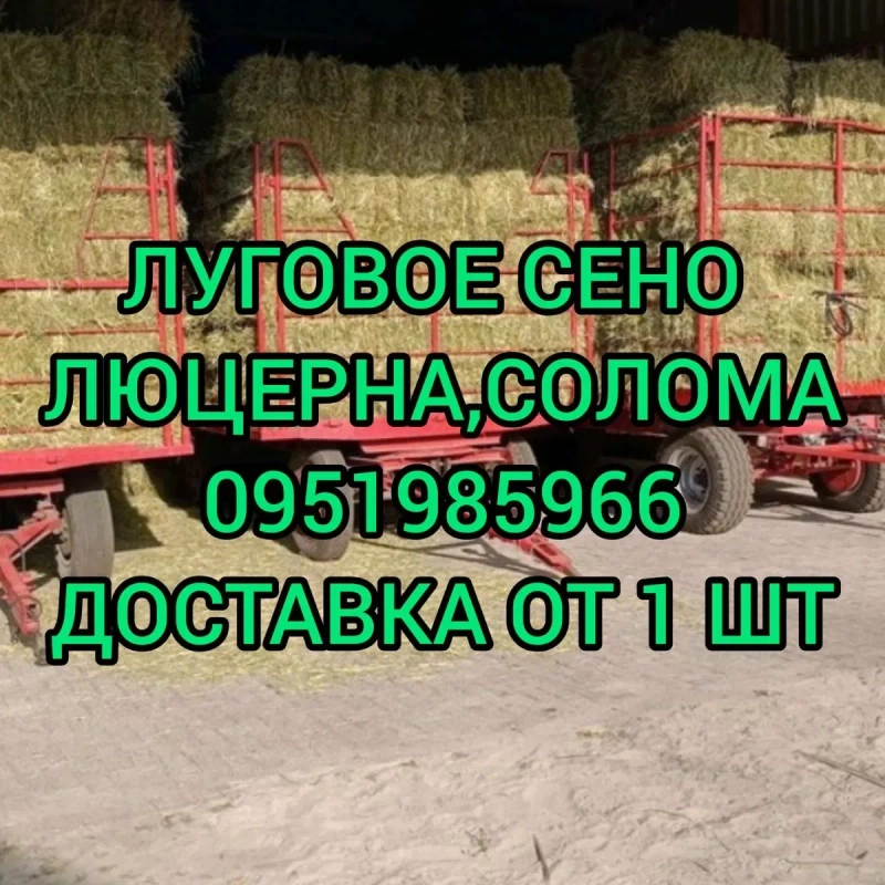 ‼️СОЛОМА ДЛЯ ДЕКОРА С ДОСТАВКОЙ от 1 шт в тюках мешках (клевер и др). Декор, корм, подстилка, мульча. — фото 4