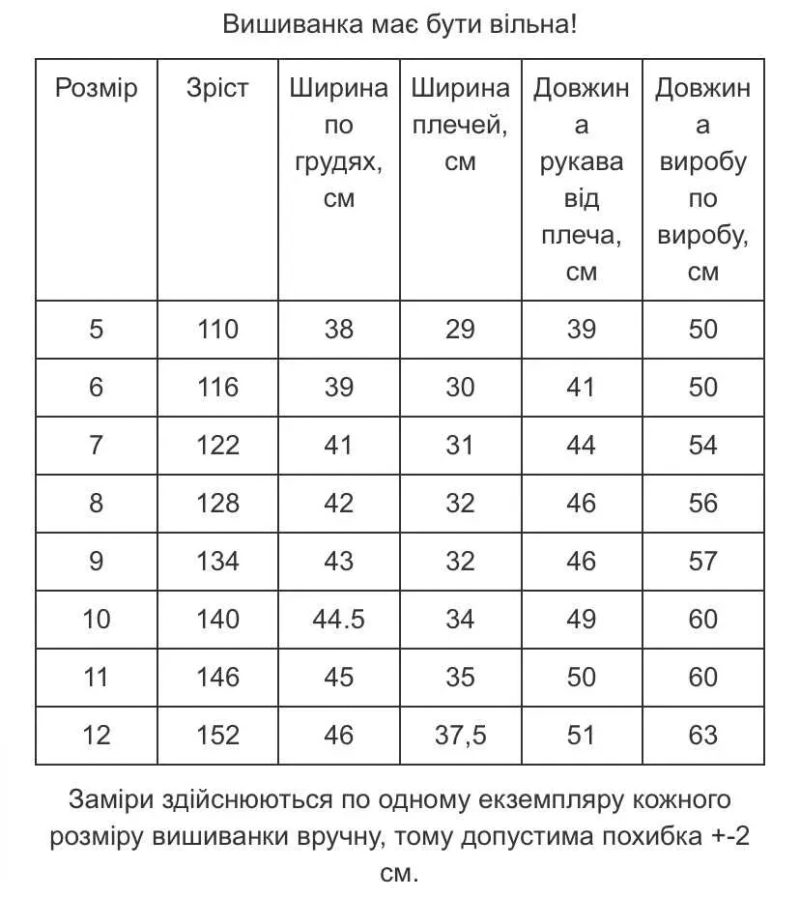 Сучасна вишита сорочка вишиванка для хлопчика Любомир, дитячі вишиванки — фото 7