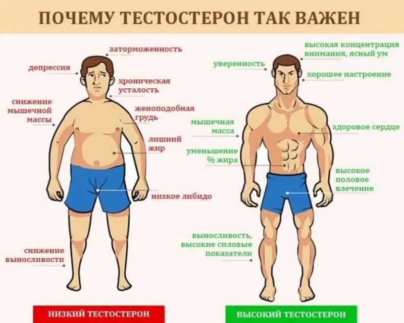 Трутневый гомогенат — фото 6