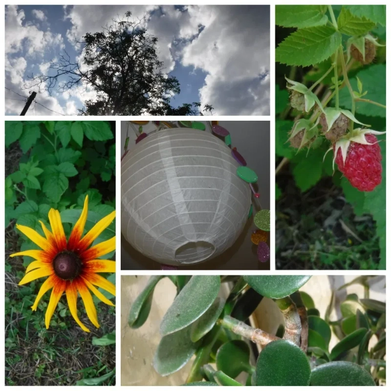 цифрова фото камера Fujifilm FinePix XP90 ФЛАГМАН (Wi-Fi, FullHD) + Комплект — фото 8