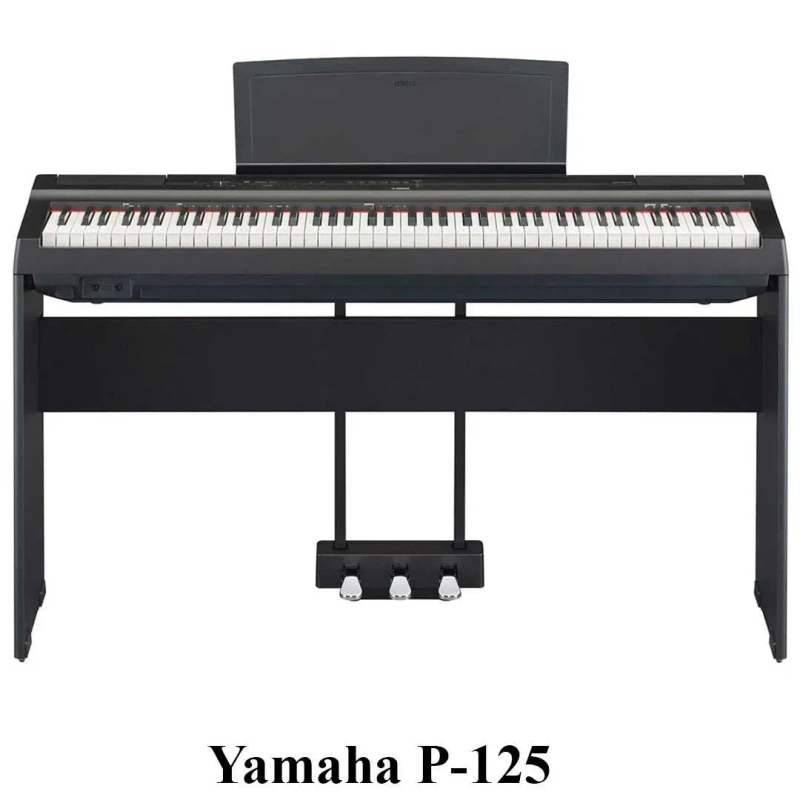 Цифрове піаніно Yamaha, Kurzweil, Casio: P-45, P-125, KA-130, M90 — фото 7