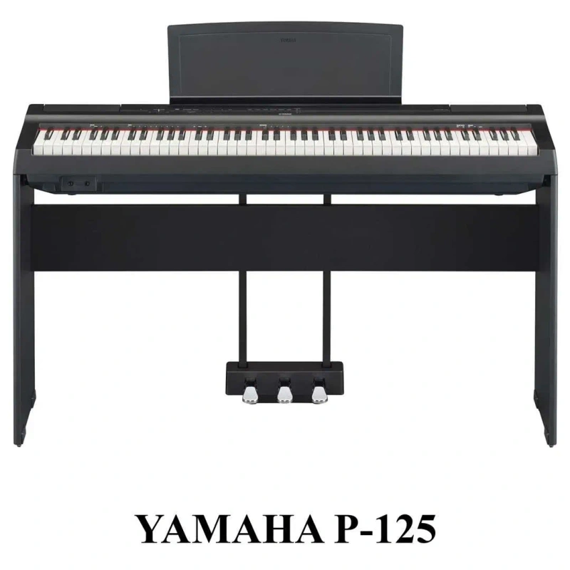 Цифрове піаніно Yamaha, Kurzweil, Casio: P-45, P-125, KA-130, M90 — фото 7