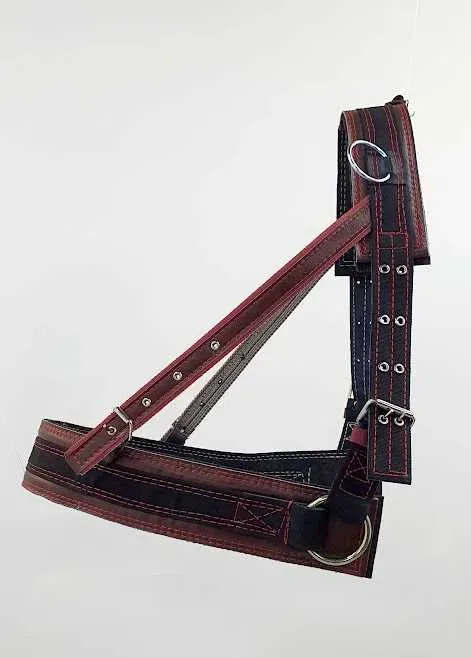Упряж на коня,шлея,наритник українки,шкірозамінник.Ручна робота — фото 2