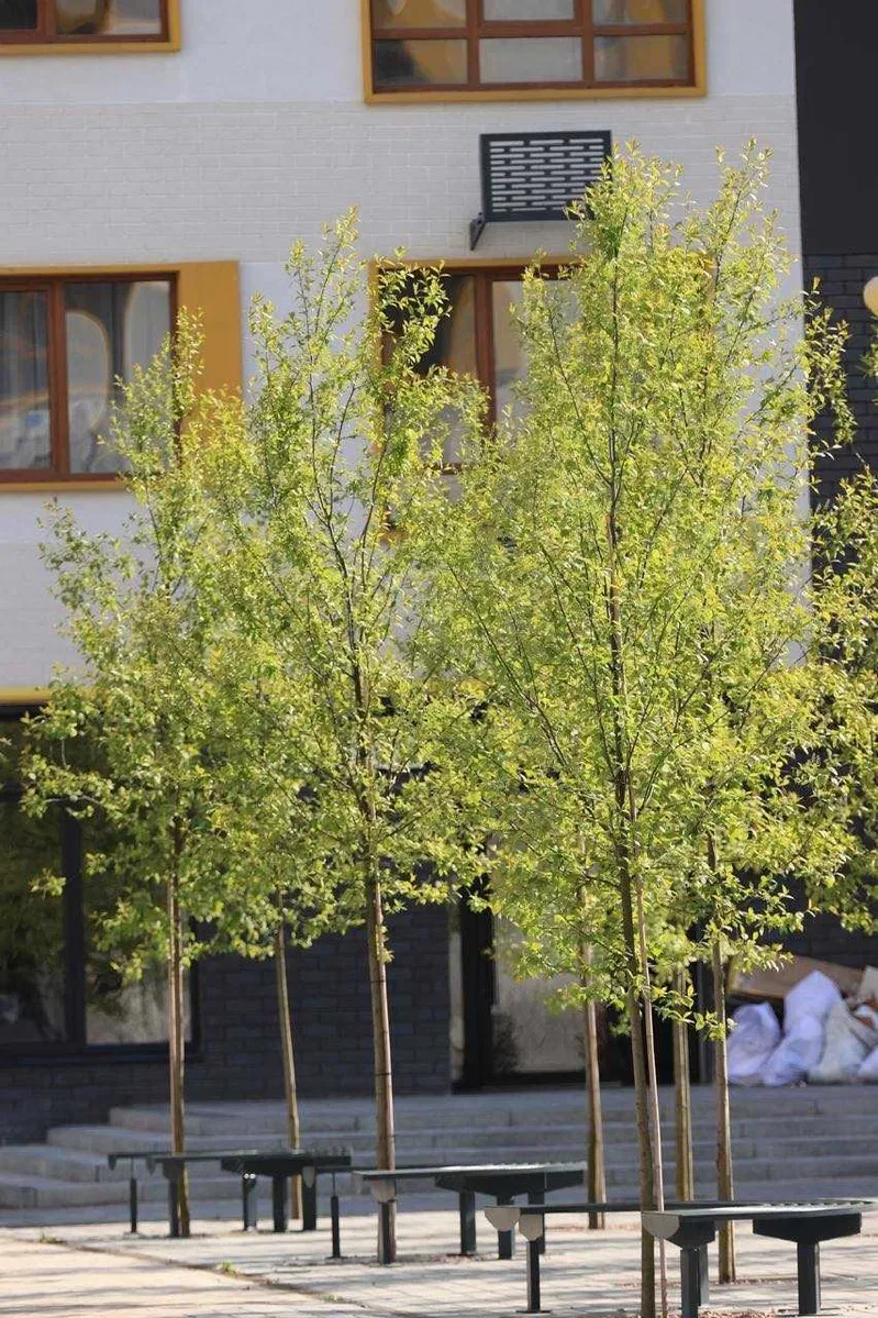 Видова 1к кв. в ЖК Молодість під Єоселю, Сертифікат, розтермінування — фото 5