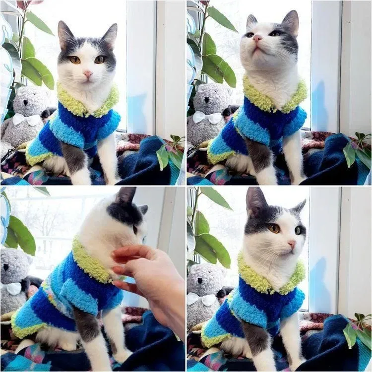Вязаная одежда для кошек и собак, одежда для сфинксов) — фото 5