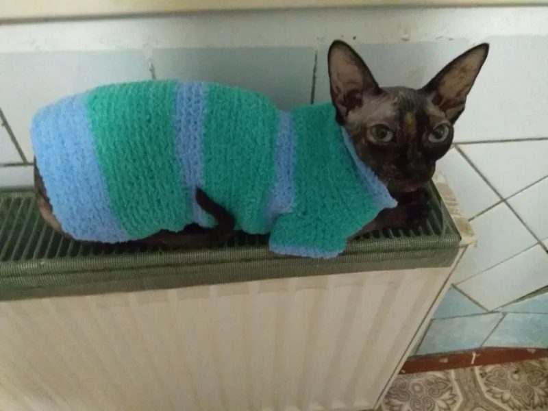 Вязаная одежда для кошек и собак, одежда для сфинксов) — фото 6