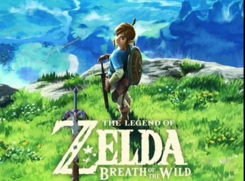 Zelda botw на Nintendo Switch