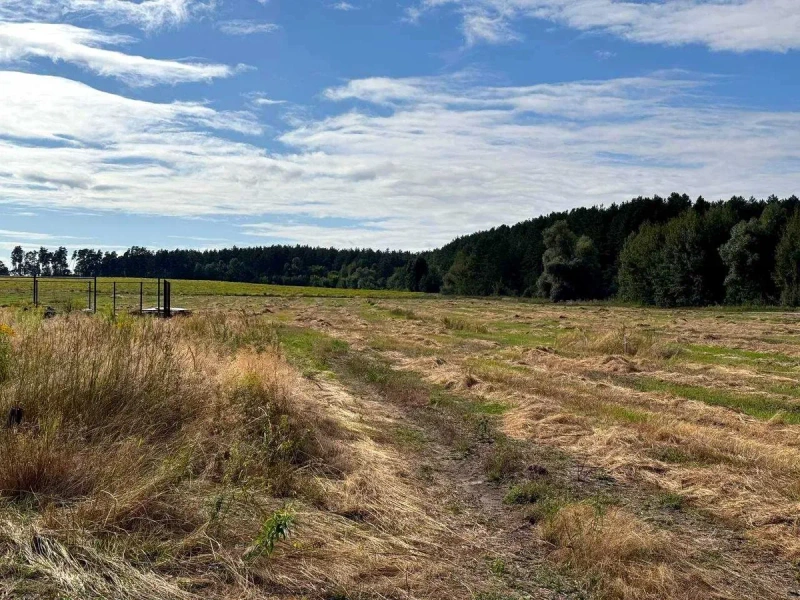 Земля в Ірпінській громаді - ліс, озеро, нові будинки — фото 2
