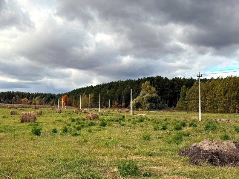 Земля в Ірпінській громаді - ліс, озеро, нові будинки — фото 4