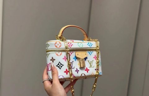 Женская кожаная сумка Louis Vuitton Vaniti