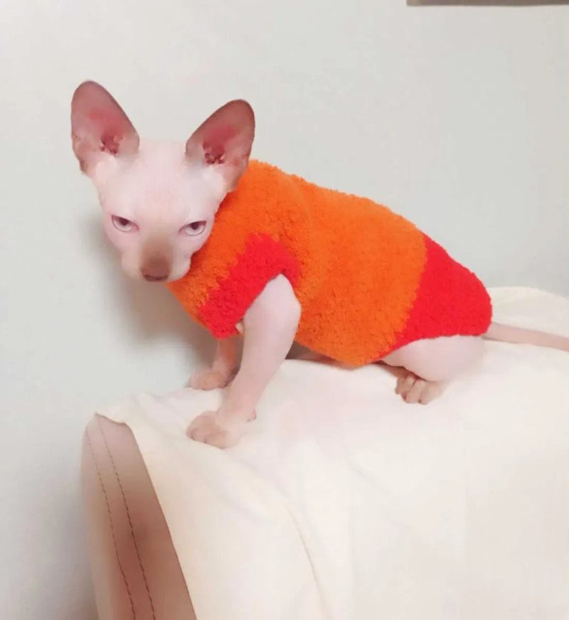 Жилеты, свитера, кофты для собак, кошек, котят. Одежда на сфинкса — фото 4