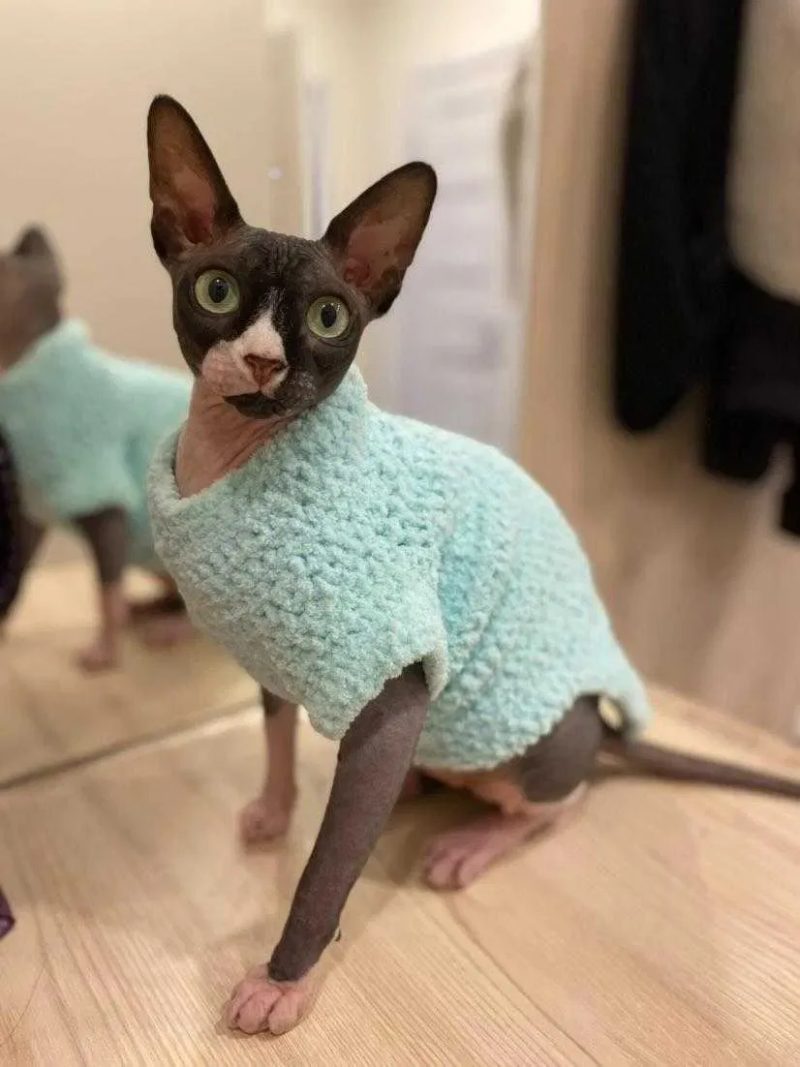 Жилеты, свитера, кофты для собак, кошек, котят. Одежда на сфинкса — фото 8