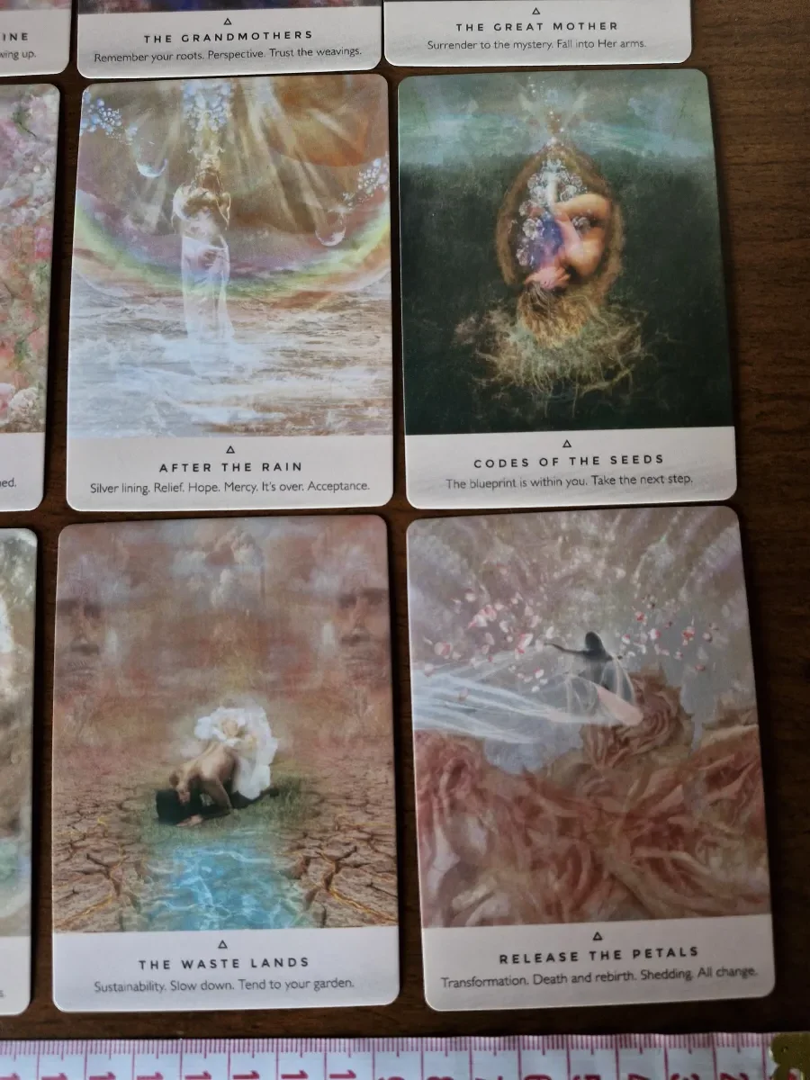 Карти Оракул The Rose Oracle - мудрість троянди (англійською), таро — фото 3
