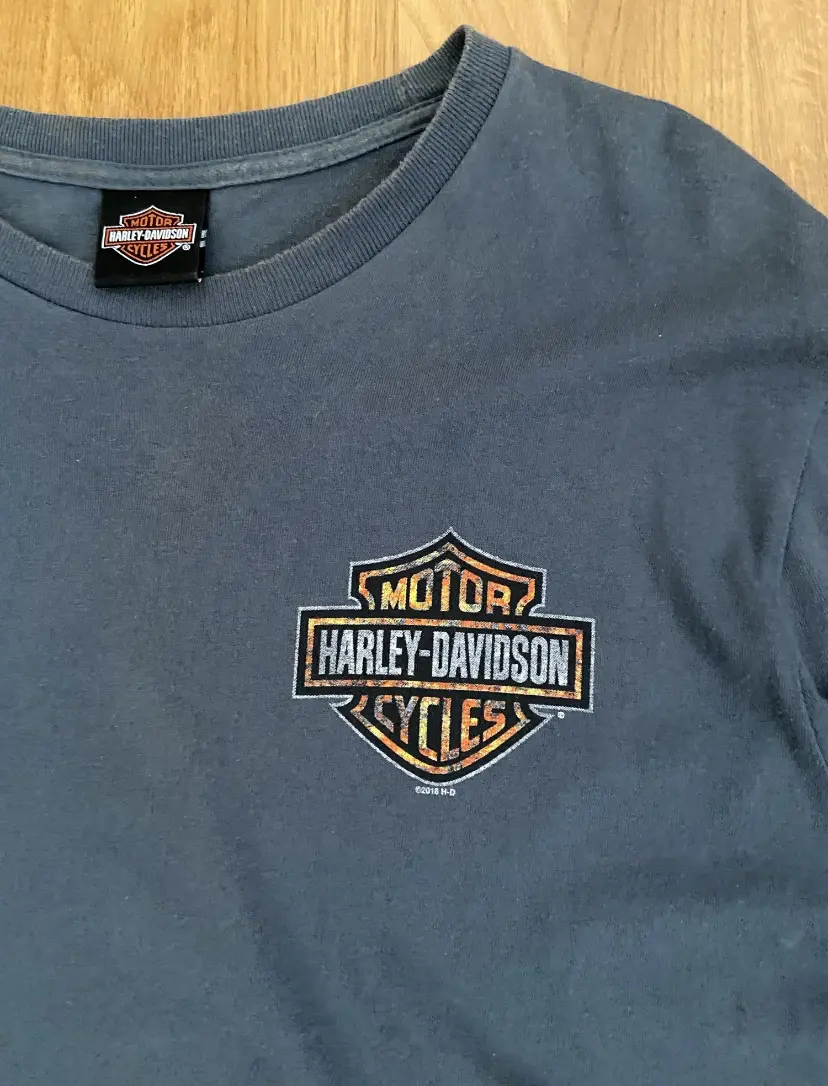 Лонгслів harley Davidson — фото 3