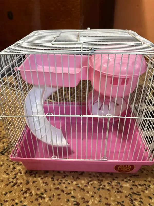 Клетка для хомяка Golden Cage 27x20x26 см с колесом и горкой