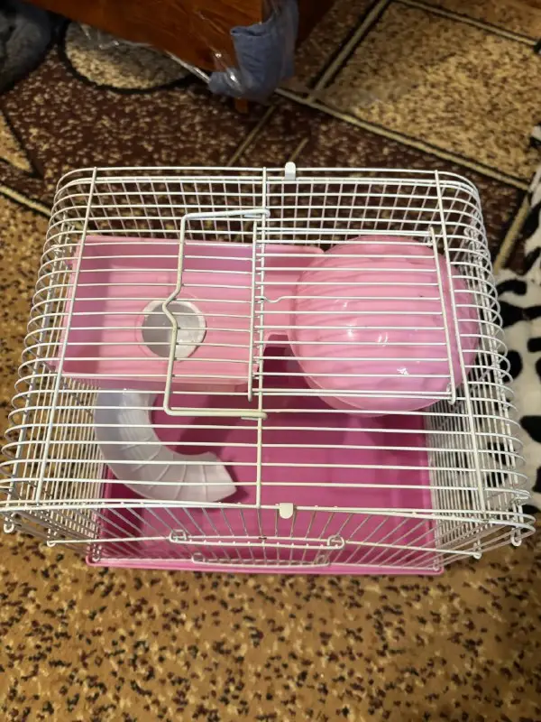 Клетка для хомяка Golden Cage 27x20x26 см с колесом и горкой — фото 2