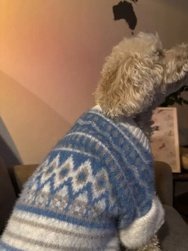 Светрик для собак теплий зимовий та демісезонний розміри M-L-XL