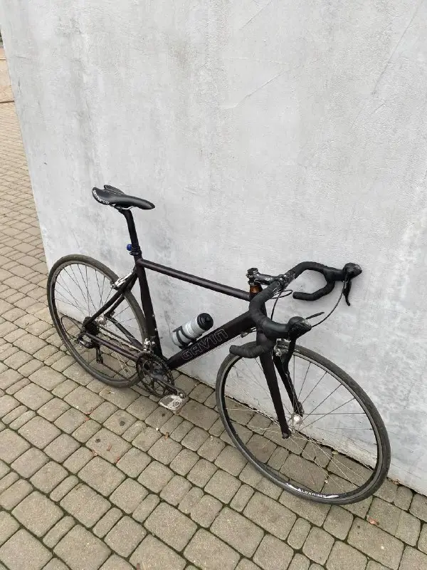 Шосейний велосипед Gavin Shimano Sora Carbon Fork — фото 2