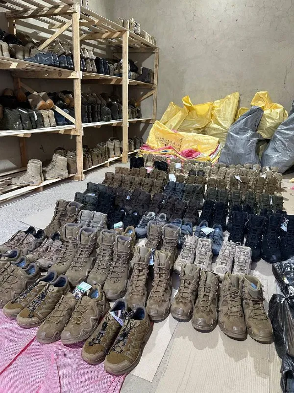 Тактичне взуття Lowa Zephyr MK1/MK2, Innox, Z-6, Z-8, Z-11, Maddox