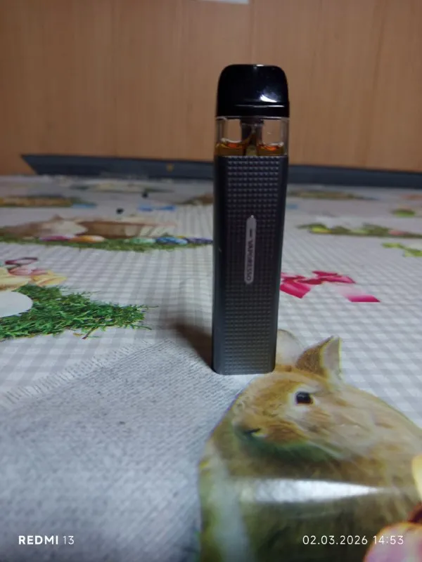 Vaporesso XROS Mini Black Pod-система