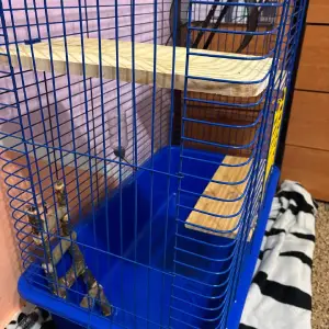 Клетка для шиншиллы 3 этажа 80x80x40 см с колесом и поилкой