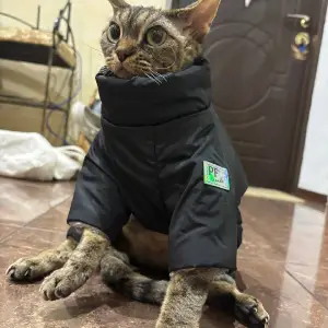 Комбінезон для котів та собак PF Trends XS Чорний