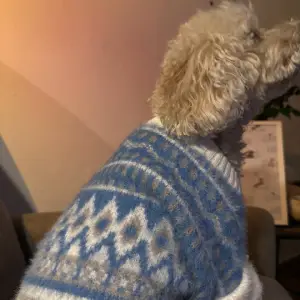 Светрик для собак теплий зимовий та демісезонний розміри M-L-XL