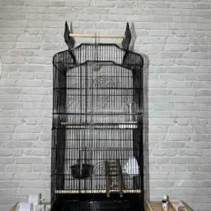 Клітка-вольєр для птахів 48×38×118 см Чорна з аксесуарами