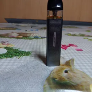 Vaporesso XROS Mini Black Pod-система